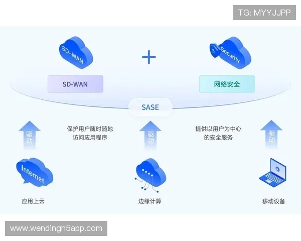如何安全高效地进行问鼎app下载安装确保个人信息安全的实用技巧