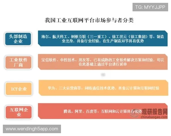 问鼎www:未来互联网发展趋势与网站问鼎的战略布局分析 问鼎www:未来互联网发展趋势与网站问鼎的战略布局分析