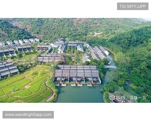 如何在问鼎28圈中快速提升排名实现问鼎28圈的梦想全方位策略解析 如何在问鼎28圈中快速提升排名实现问鼎28圈的梦想全方位策略解析