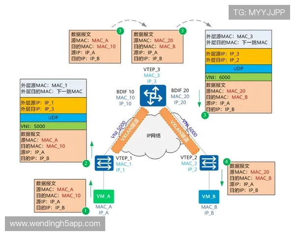 最新问鼎平台注册入口地址及注册流程详细解析