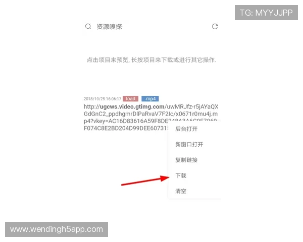 详细解析问鼎平台官网下载链接获取方法及完整安装步骤指南 详细解析问鼎平台官网下载链接获取方法及完整安装步骤指南
